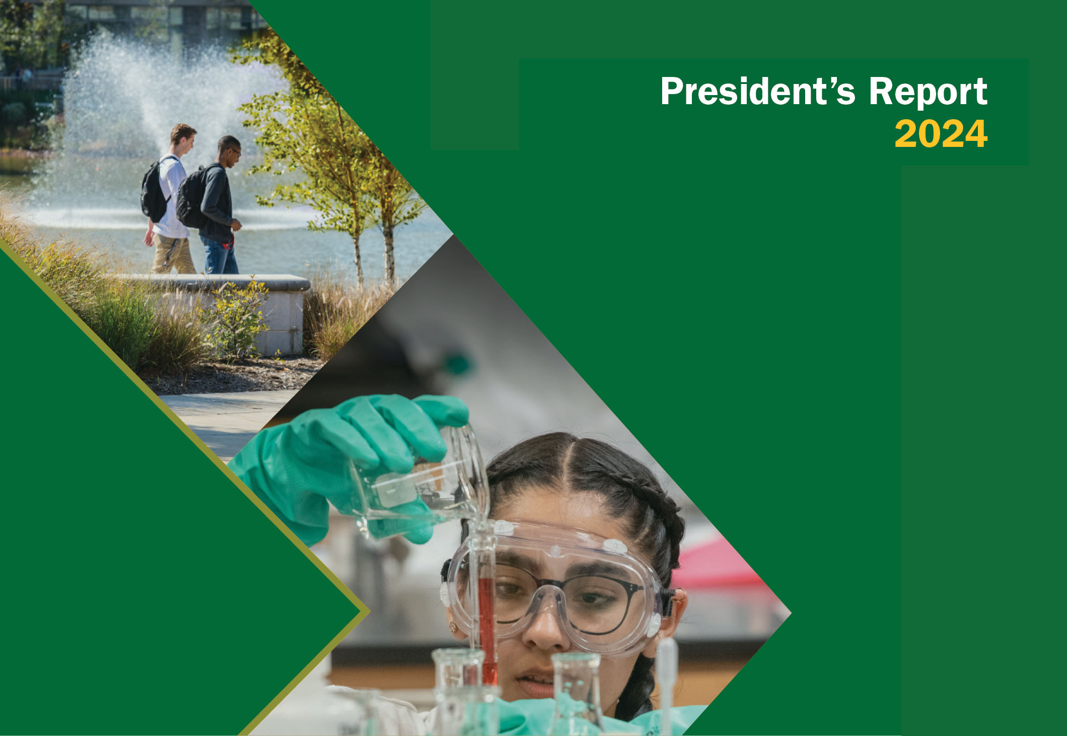 President's report cover