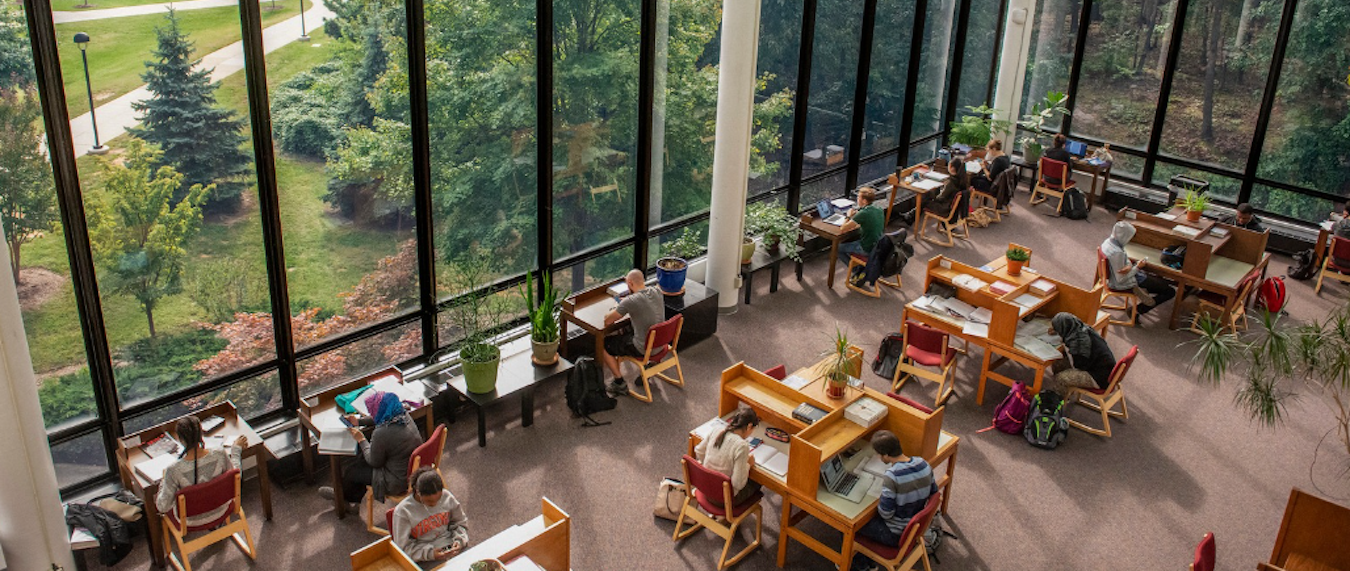 a library full of students