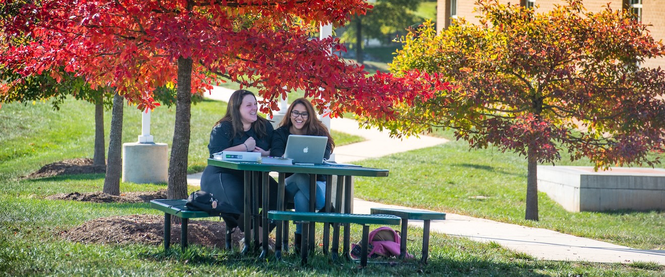 a group of students
