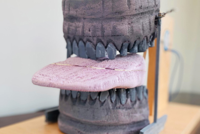 Wooden sculpture titled 'Bite My Tongue' by Abigail Warren