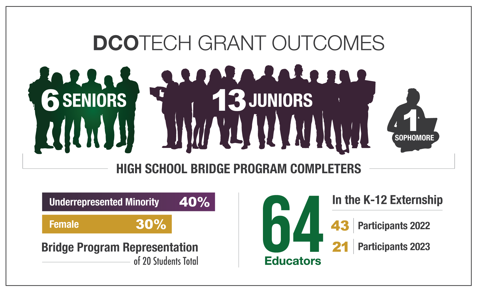 DCO Tech Grant Infographic