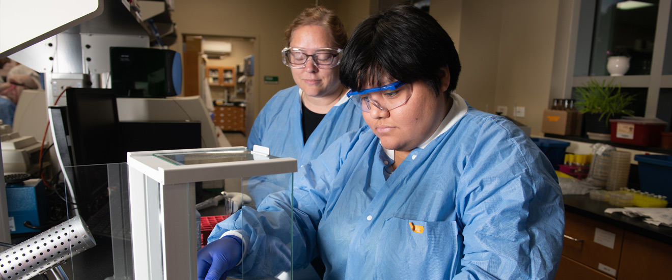 Students working with equipment in a lab