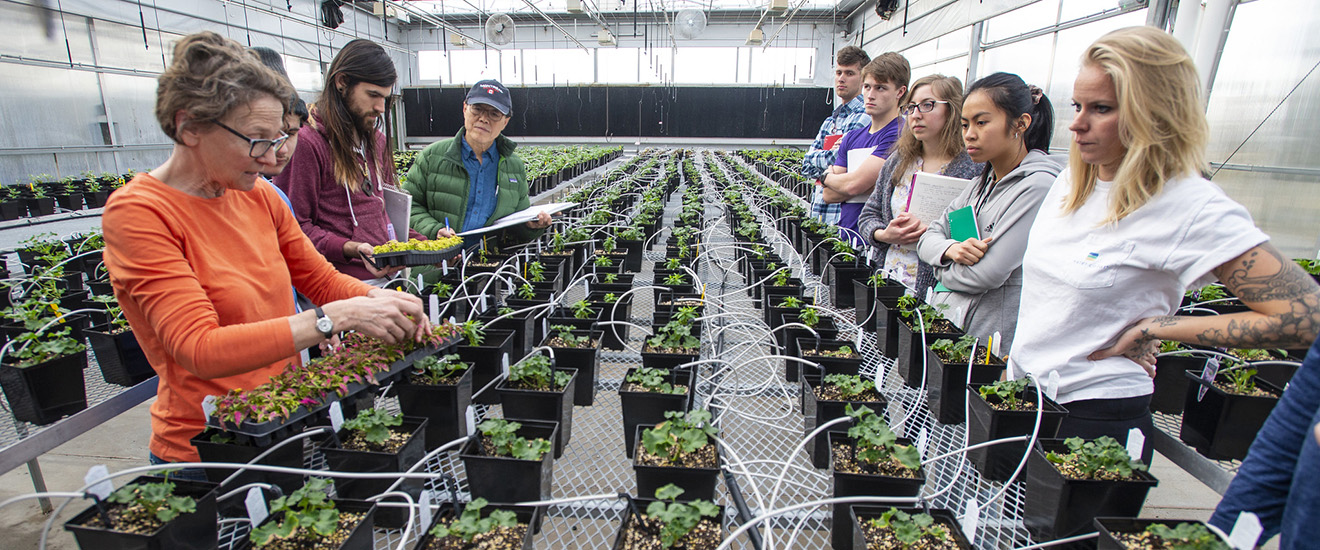 Students and instructors working with plants in a greenhouse