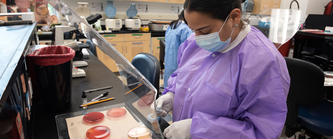 Medical students working in lab