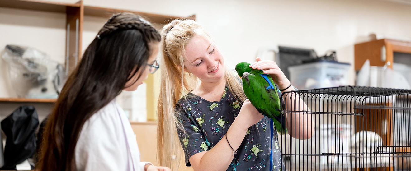 two students examining a parrot